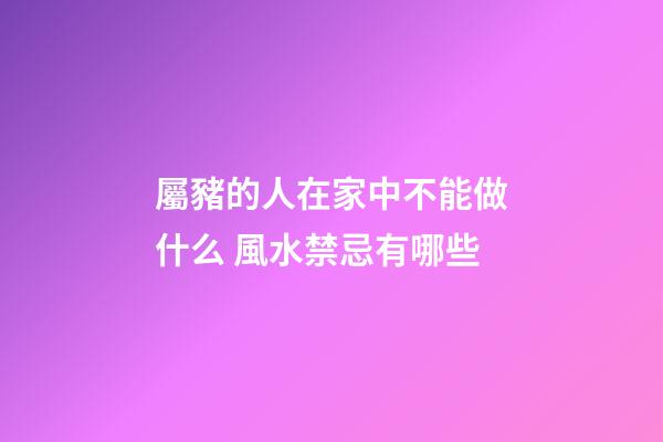 屬豬的人在家中不能做什么 風水禁忌有哪些